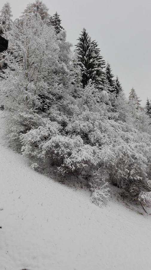 Pension Brunner Bad Kleinkirchheim Εξωτερικό φωτογραφία